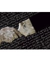 POESIA- FOTOGRAFIA 180x120